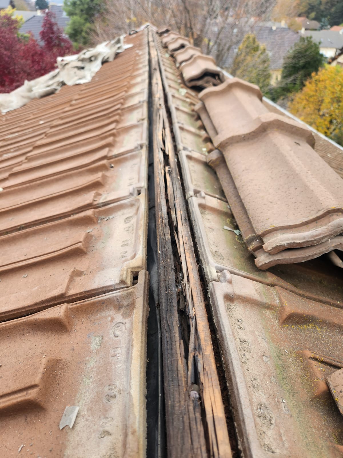 Faîtage rive toiture